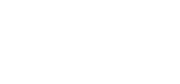 Digital Express White Logo